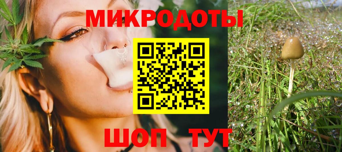 Наро-Фоминск  Псилоцибиновые грибы Psilocybe  Вход с VPN  продажа наркотиков  Галлюциногенные грибы ЛСД 
